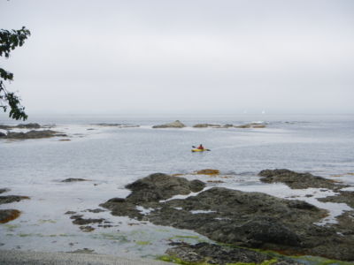 East coast of Vancouver Island