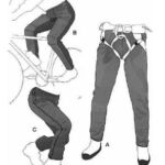 CE65 Fleece or Stretch Pant