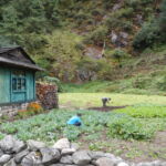 Farming by hand...with an extremely rare satellite dish.