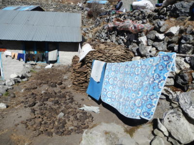 Drying laundry and yak dung patties...just like back home. Above tree line, yak dung is currently the main source of heat (and fuel for cooking!)