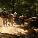 There are no roads in the Khumbu Himal. Everything (food, buildings supplies, trade goods) gets moved by human or animal power on the trails we all share. Obviously these guys get the right of way.
